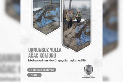 Qubada qanunsuz kömür istehsalı aşkarlanıb