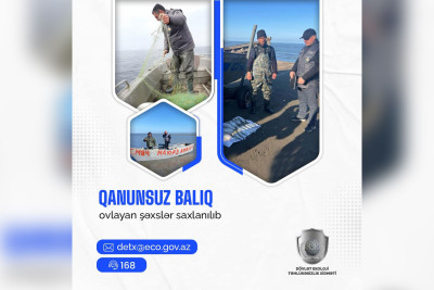 Xaçmaz: Xəzərdə brakonyerlər saxlanılıblar