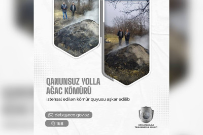 Qubada qanunsuz kömür istehsalı aşkarlanıb