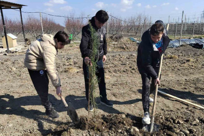 Xaçmaz: gənclər və idman sektorunun əməkdaşları ağac əkiblər