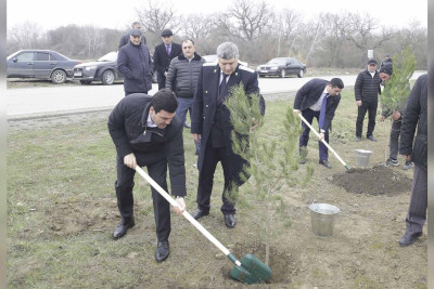 Xaçmaz: Ekoloji aksiyada 700 ağac əkilib
