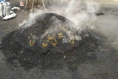 İsmayıllı: Qanunsuz kömür istehsal edənlər cəzalandırılıblar