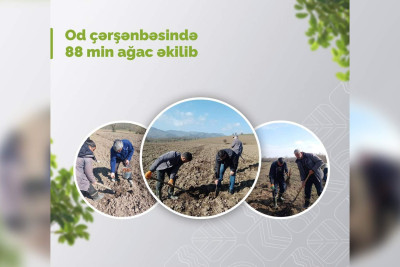 İsmayıllı və Qubada meşələr bərpa edilib