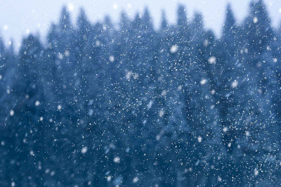 Şimal: havanın temperaturu aşağı enəcək