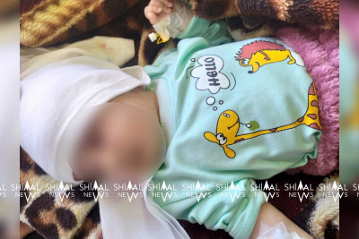 Şimal: Ödənişli yolda qəzaya uğrayan ailənin kimliyi açıqlanıb