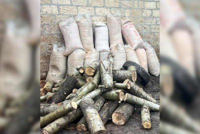 Quba: təbiətə ziyan vuran şəxs barəsində akt tərtib olunub