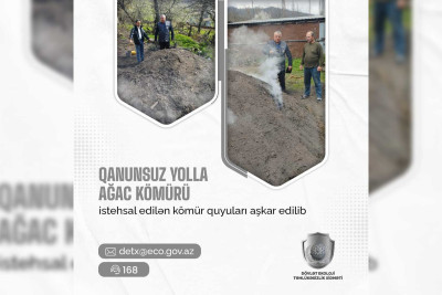 Qubada qanunsuz kömür istehsalı aşkarlanıb