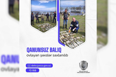 Quba sakini qanunsuz ov edərək tutulub