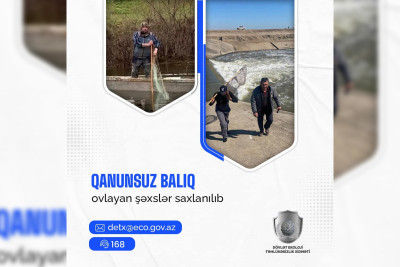 Xaçmaz: qanunsuz balıq ovlayan şəxs cəzalandırılıb