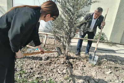Xaçmaz Peşə liseyinin heyəti ağaclar və güllər əkib