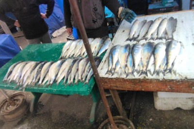 AQTA: Qusar bazarında ciddi nöqsanlar aşkarlanıb