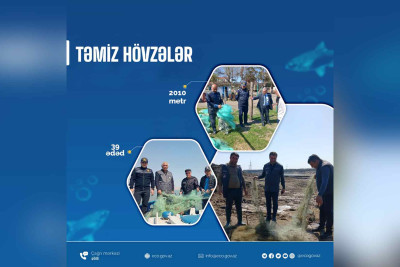 Xaçmaz: sintetik torlar yığışdırılıb