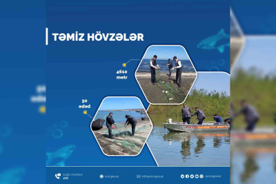 ETSN: Xaçmaz rayonu akvatoriyasından sintetik torlar götürülüb
