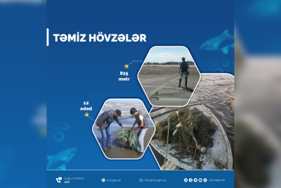 Xaçmaz akvatoriyasında yoxlamalar: Sintetik torlar aşkarlanıb