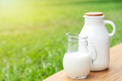 Şimal rayonları süd istehsalında əhəmiyyətli yer tutur