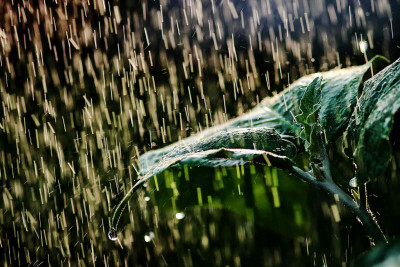 Xaltan, Qrız, Qusar, Xınalıqda hava yağıntılıdır