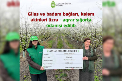 İsmayıllı və Qusar: Fermerlərə sığorta ödənilib