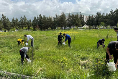 İsmayıllı OİK: Abadlaşdırma aksiyası keçirilib