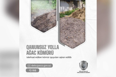 Quba: Kömür istehsal edən 4 nəfər müəyyən edilib