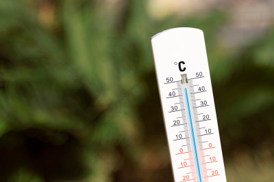 Şimal: Mayda havanın temperaturu günbəgün artacaq