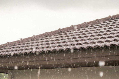 Şimalda yağıntılı hava şəraiti davam edir