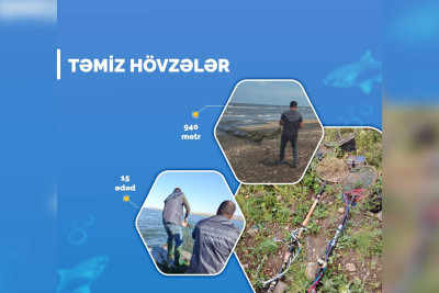ETSN: Xaçmaz akvatoriyasında sintetik torlar aşkar edilib