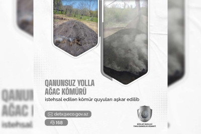 Quba: Kömür istehsal edən 7 nəfər müəyyən edilib