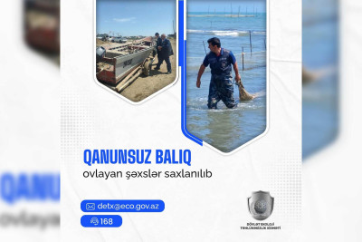 Xaçmaz: Qanunsuz balıq ovlayan şəxs cəzalandırılıb