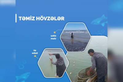 ETSN: Xaçmazda qanunsuz balıq ovunun qarşısı alınıb