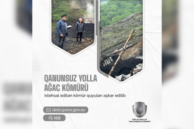 Qubada qanunsuz kömür quyuları aşkar olunub