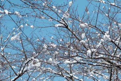 Şimalda hava şəraiti yağıntılıdır