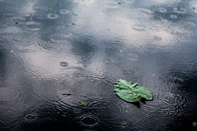 Hava proqnozu: Şimalda 5 mm-dək yağıntı düşüb