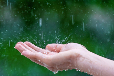 Şimal: Bölgədə yağıntılı hava şəraiti hökm sürür