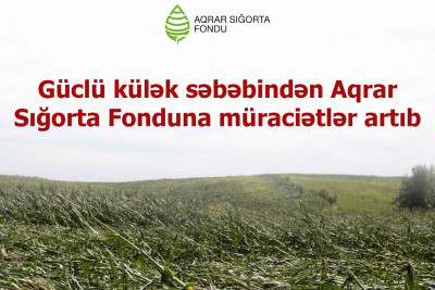 İsmayıllı və Qusar: Fermerlər aqrar sığortaya ümidlidirlər