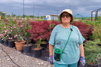 Qusarda yeni tingçilik təsərrüfatı fəaliyyətə başlayıb