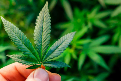 DİN: Xaçmaz sakinindən narkotik vasitə götürülüb