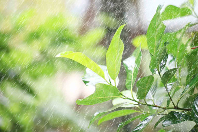 Şimal: Leysan yağışlar gözlənilir