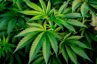 Xaçmaz dəmir yolu stansiyası ərazisində bir nəfər saxlanılıb