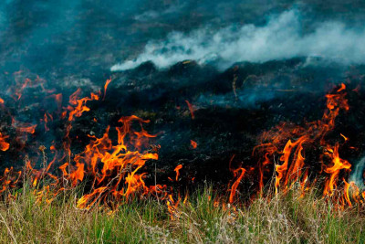Xudatda yanğın olub
