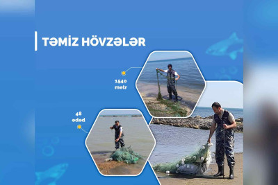 Xaçmaz: Torlar su hövzələrindən yığılıb