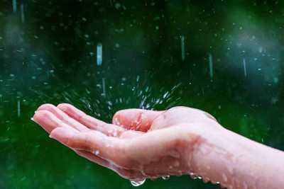 Şimal bölgəsində güclü yağış yağır