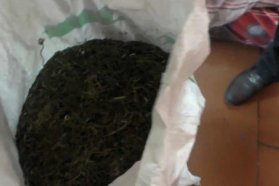 Qubada 6 kq narkotik ünvana çatmayıb