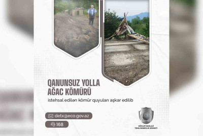 Qubada qanunsuz kömür istehsalı aşkarlanıb