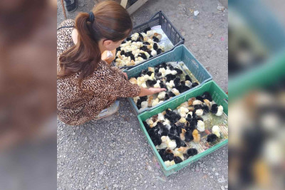 Qusar Qadın Resurs Mərkəzinin üzvü şəxsi biznesə sahib olub