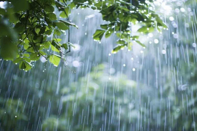 Şimal: Yağıntıların miqdarı açıqlanıb