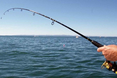 Balıq ovuna icazə verilib