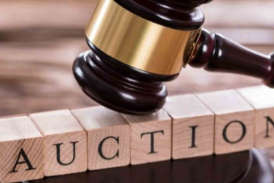 Şimal: Fındıq bağı və fərdi evlər hərraca çıxarılır