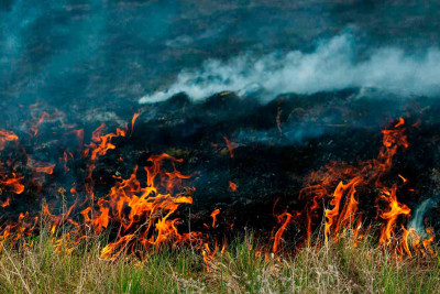 Xaçmaz: Taxıl sahəsi yanıb