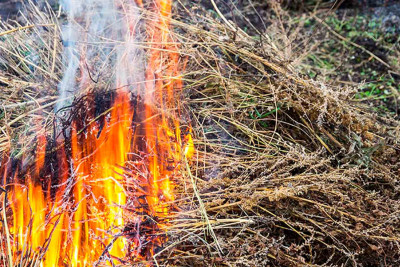 Xaçmaz: Nərəcan kəndində yanğın olub
