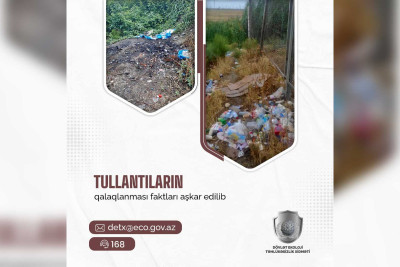 Xaçmaz: Daha bir ərazidə tullantılar qalaqlanıb